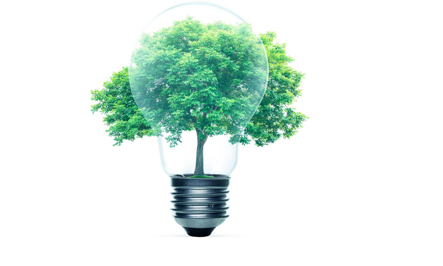 Tree in a light bulb
