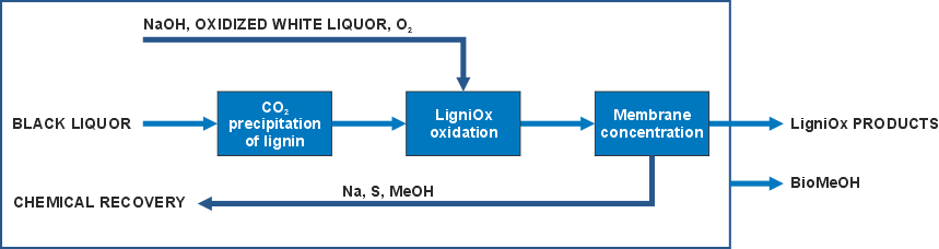 LigniOx concept flowchart
