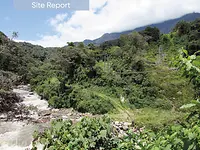River landscape in Bolivia 