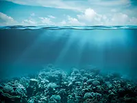 AdobeStock_79824432
