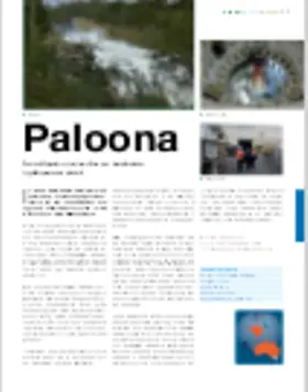 hy-25-paloona.pdf