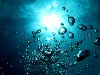 AdobeStock_164362496