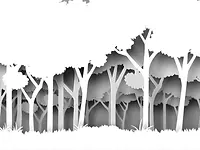 Tissue_01_WoodWhite_AdobeStock_194230654_white