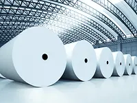 Pulp & Paper
