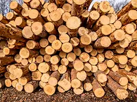 image of a log pile, with the title 