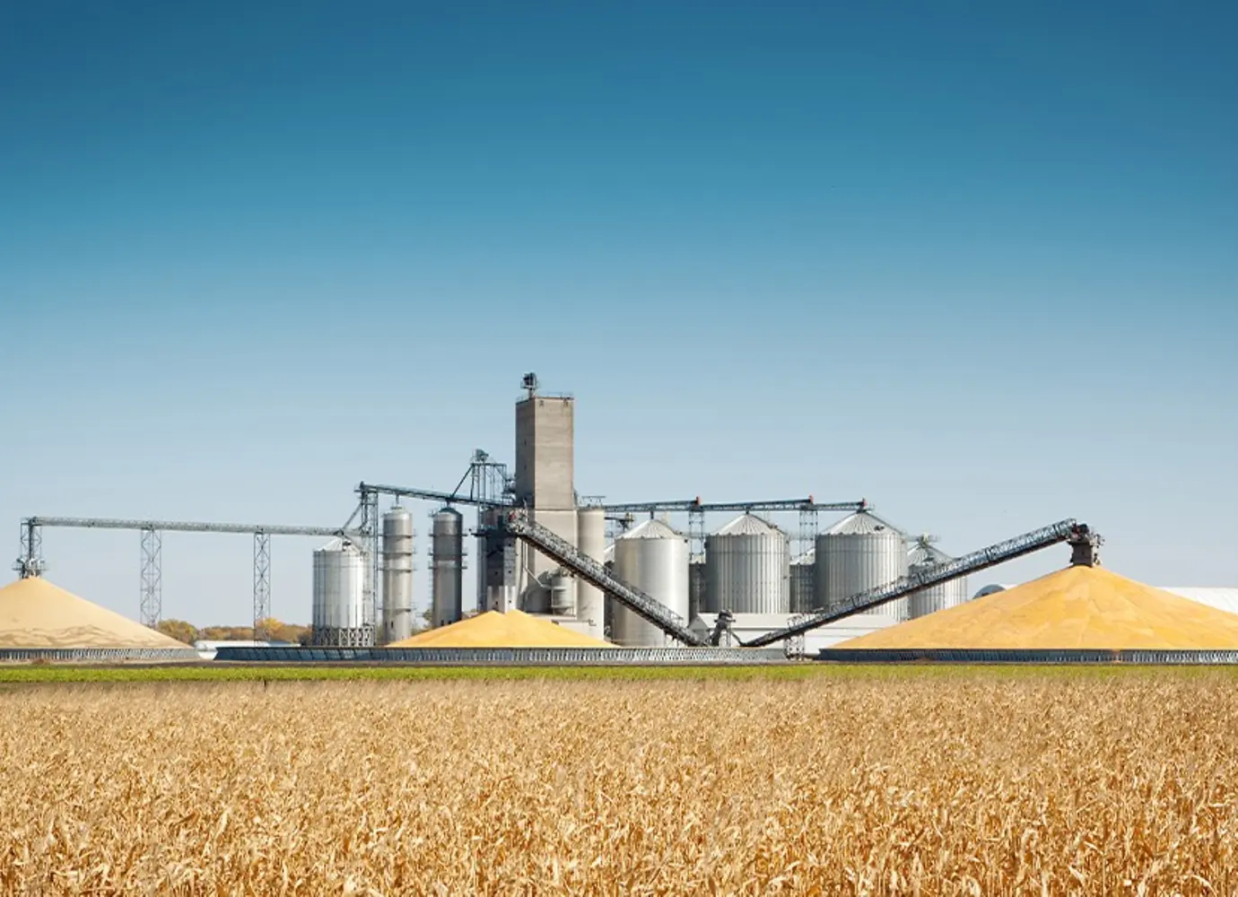 agri-commodities
