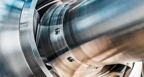Pump impeller - Oschenik